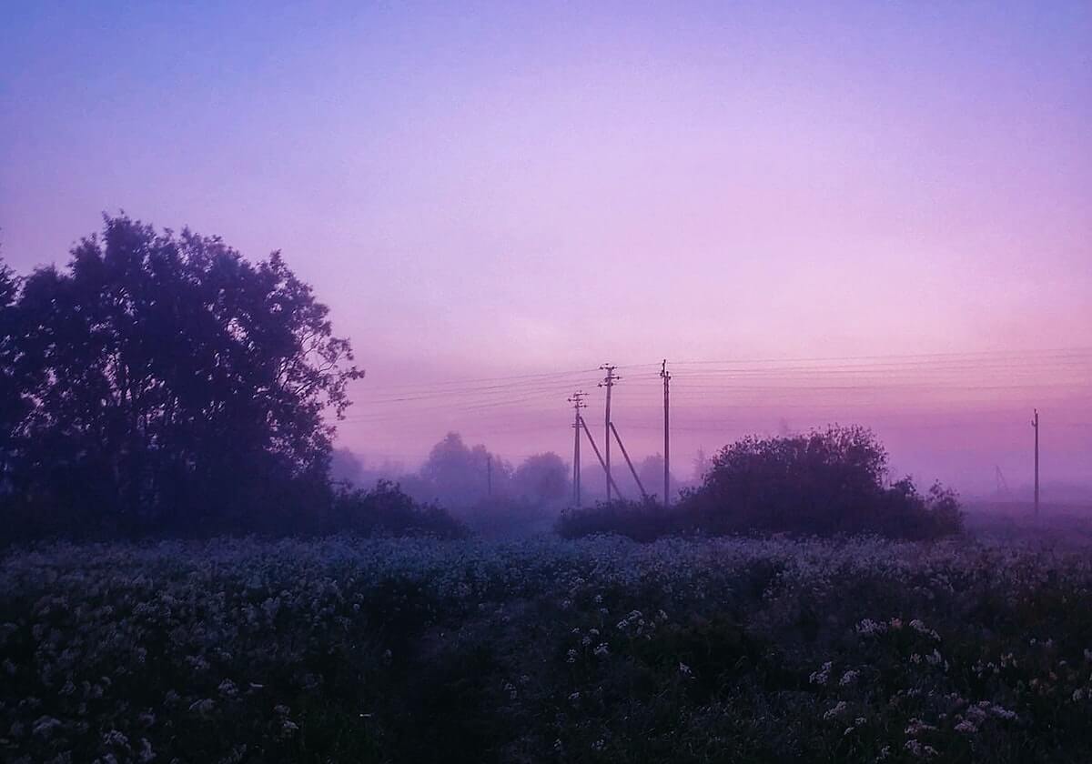 登录入口-世界泳联取消跳水世界杯墨西哥分站赛